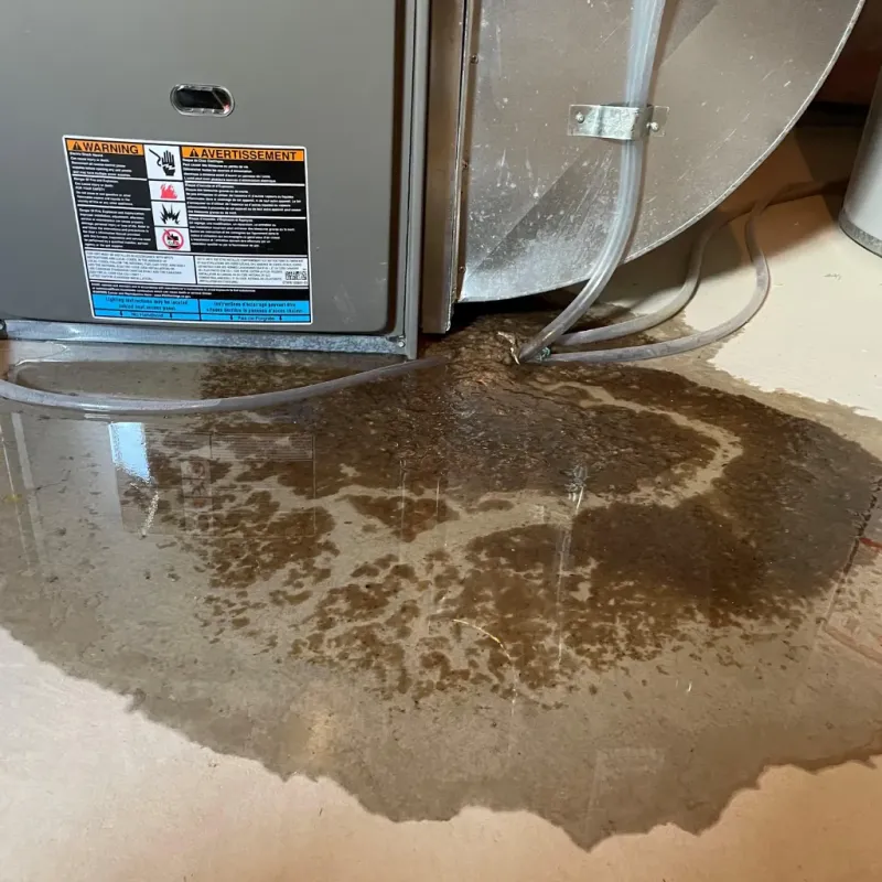 Appliance Leak Cleanup in Silver Summit, UT