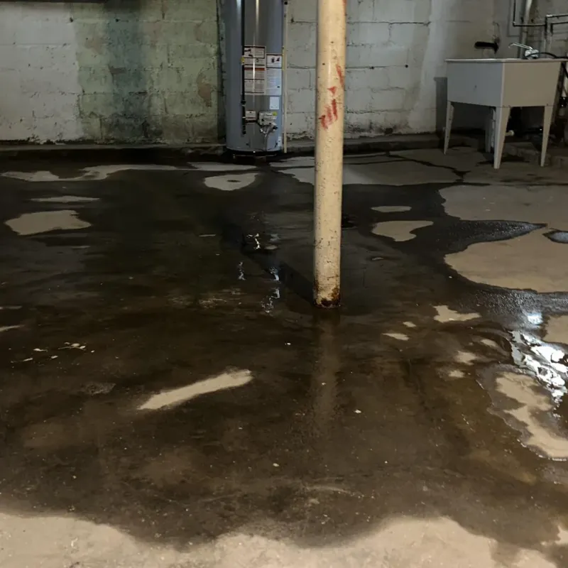 Emergency Water Extraction And Removal in Silver Summit, UT